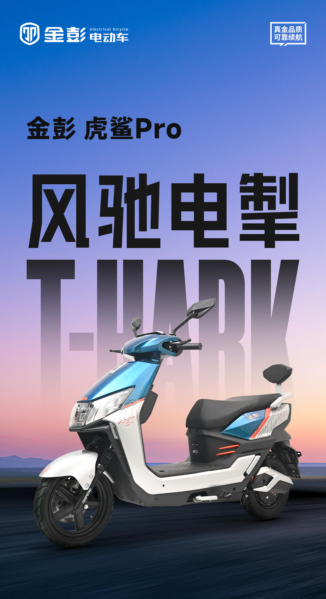 虎鯊長(zhǎng)圖_01.jpg