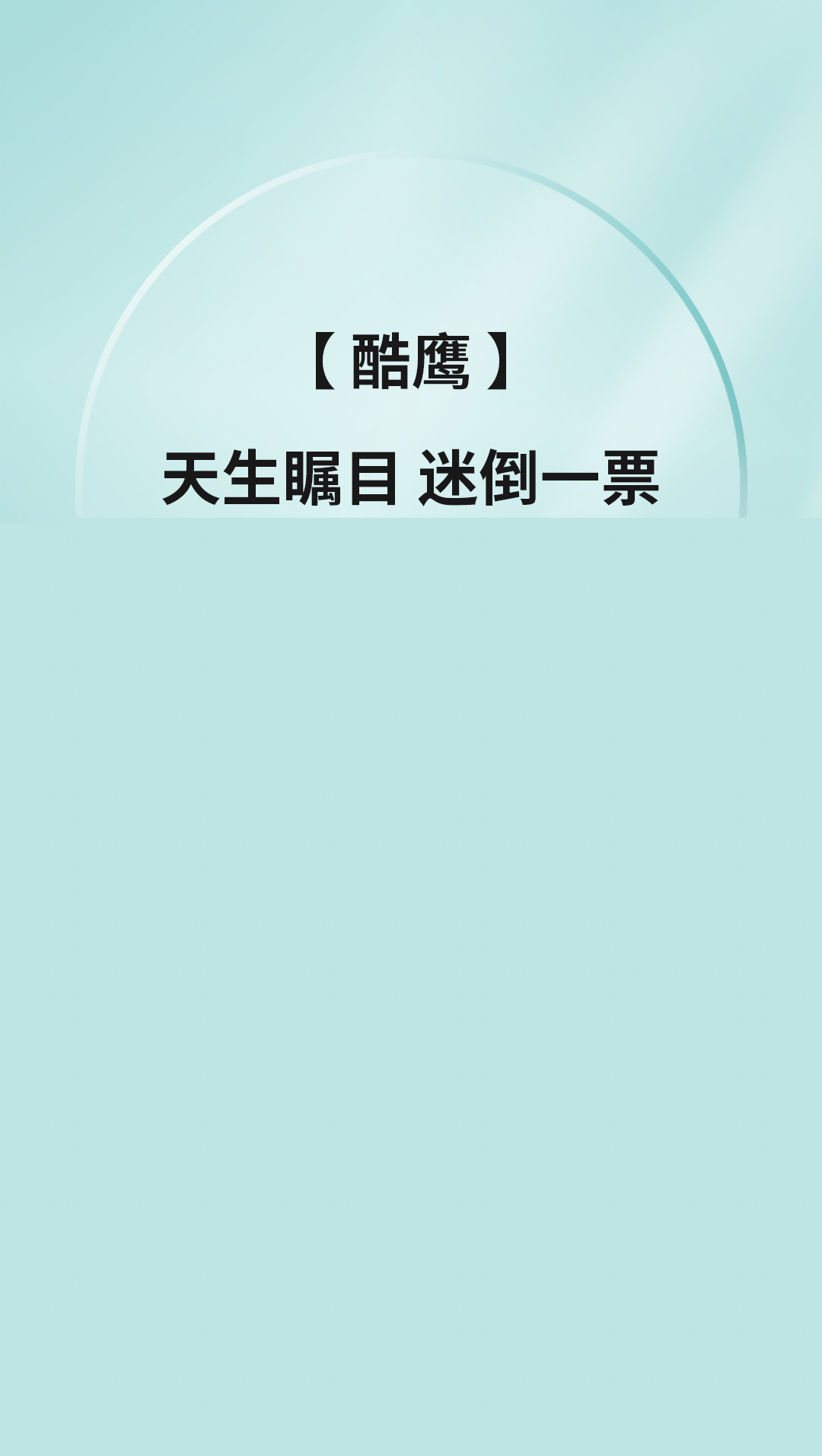 酷鷹_02.jpg
